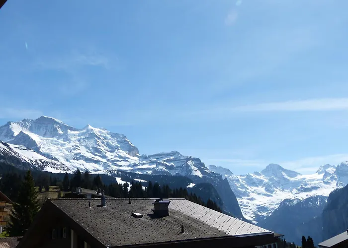 Chalet Bella Vista 6